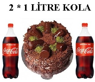 Muzlu Çikolatalı Pasta ve Çift Cola Avantaj Paketi Samsun pasta
